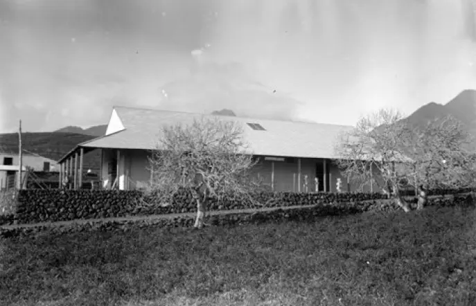 Almacén de la empresa exportadora Fyffes Ltd.